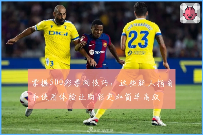 掌握500彩票网技巧，这些新人指南和使用体验让购彩更加简单高效