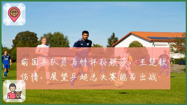 前国乒队员马特评孙颖莎、王楚钦伤情，展望乒超总决赛能否出战