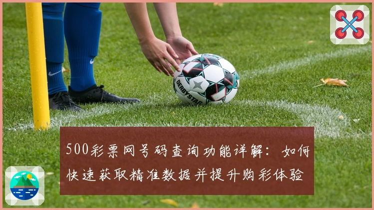 500彩票网号码查询功能详解：如何快速获取精准数据并提升购彩体验