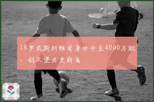 18岁武斯科维奇身价升至4000万欧，创汉堡历史新高