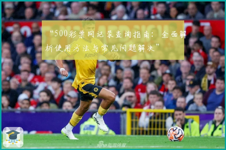 “500彩票网记录查询指南：全面解析使用方法与常见问题解决”