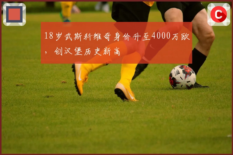 18岁武斯科维奇身价升至4000万欧，创汉堡历史新高
