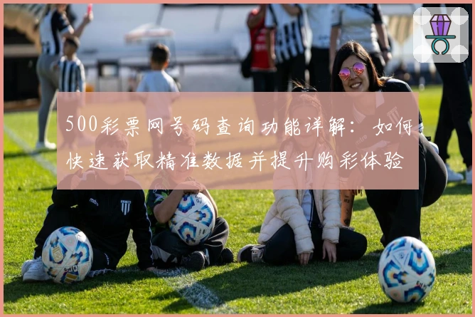 500彩票网号码查询功能详解：如何快速获取精准数据并提升购彩体验